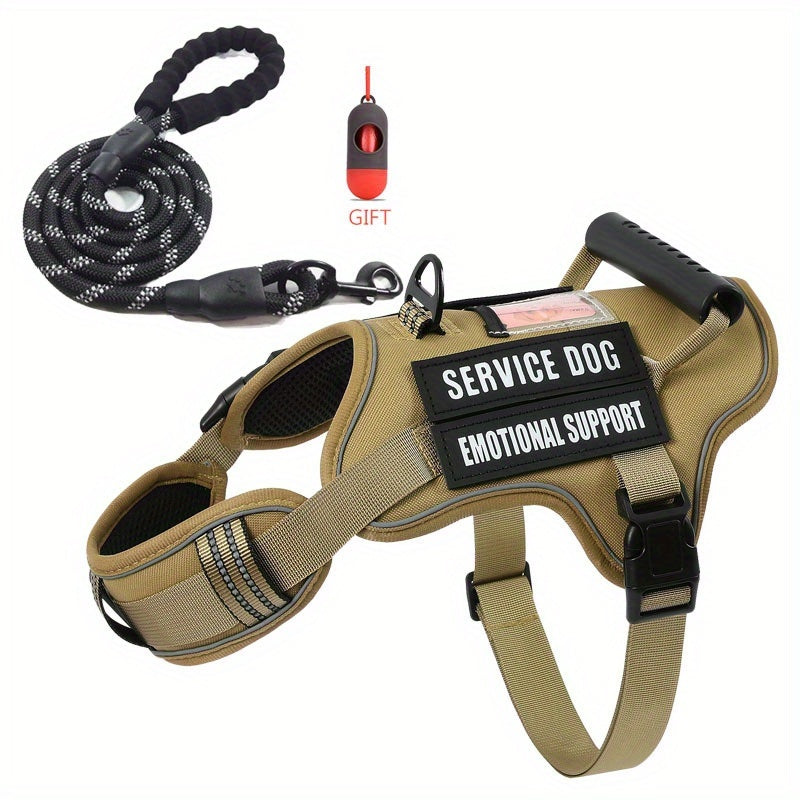 Harnesses & Leashes